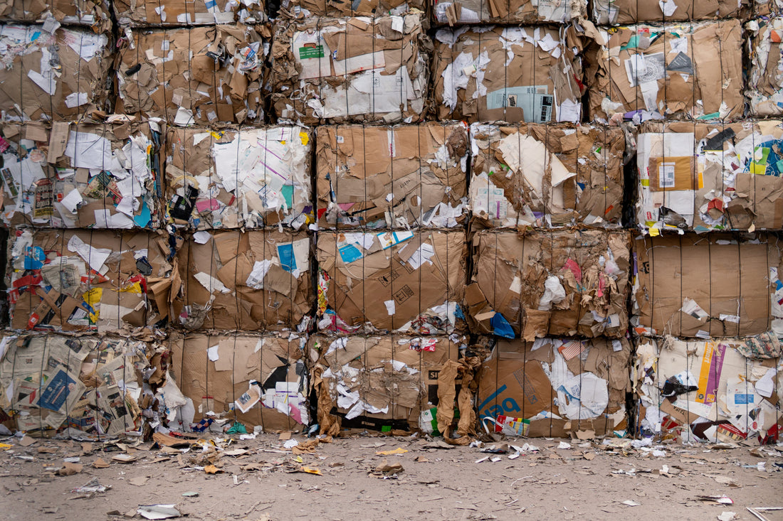 Todo sobre el plástico y el reciclaje en Chile y el mundo